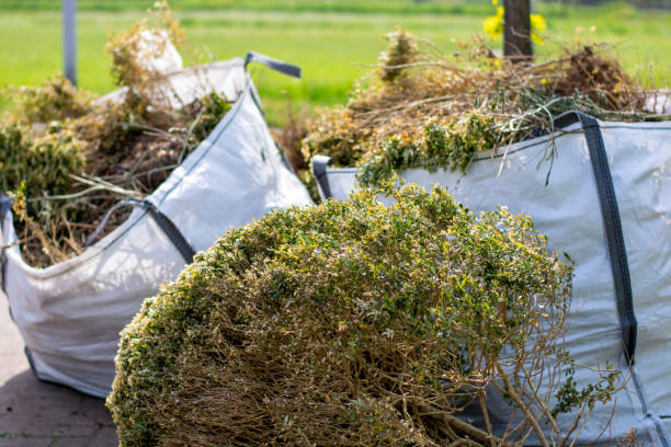 Best Electronics and E-Waste Disposal  in Medulla, FL